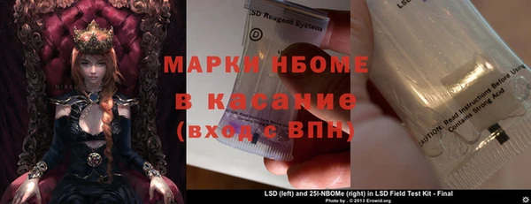 шишки Балахна