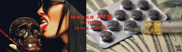 шишки Балахна