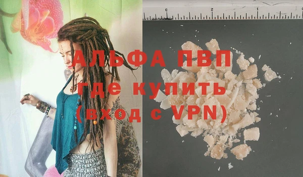 шишки Баксан