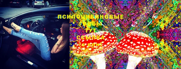 шишки Балахна