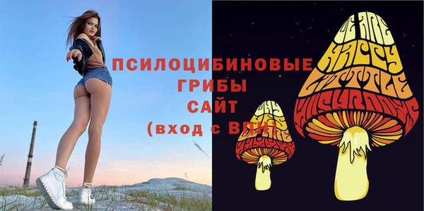 шишки Балахна