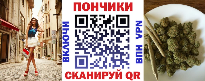 Каннабис план  как найти   Лахденпохья 